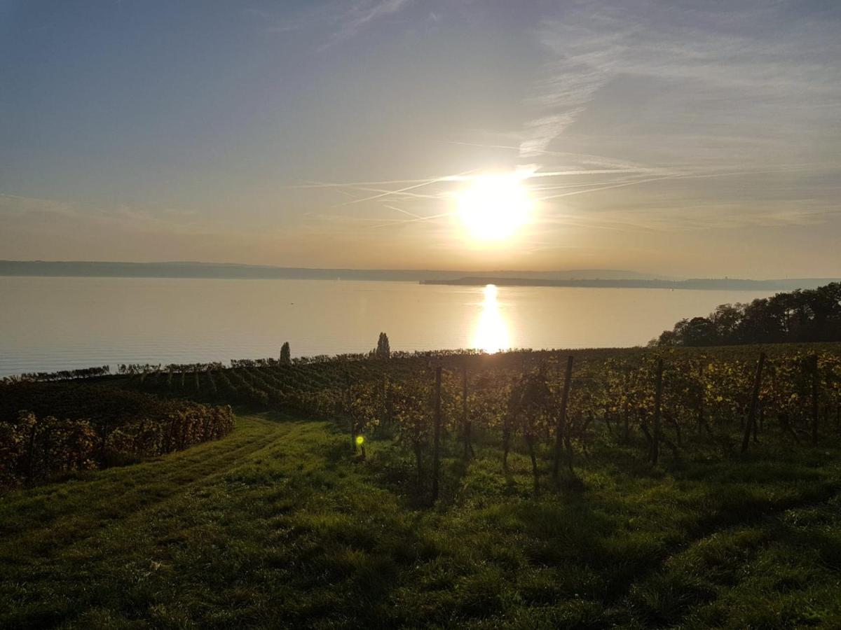 Schoene Stadtwohnung In Friedrichshafen Am Bodensee المظهر الخارجي الصورة